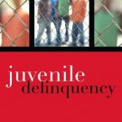 Ebook 978-0742547063 Juvenile Delinquency