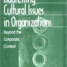 Ebook 978-0761905486 Addressing Cultural Issues in Organizations: Beyond the Corporate Context (W