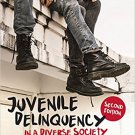 Ebook 978-1506347493 Juvenile Delinquency in a Diverse Society