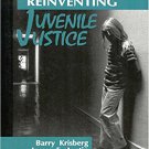 Ebook 978-0803948297 Reinventing Juvenile Justice