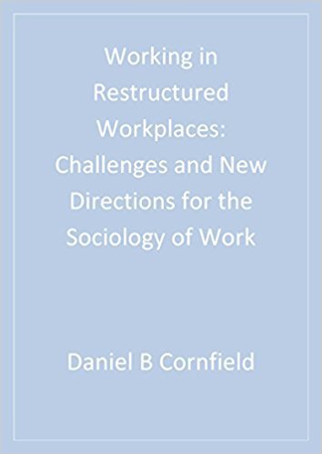 Ebook 978-0761907824 Working in Restructured Workplaces: Challenges and New Directions for the So