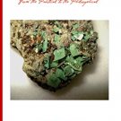 Ebook Collections Vol 7 N2