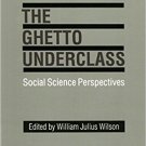 Ebook 978-0803952720 The Ghetto Underclass: Social Science Perspectives