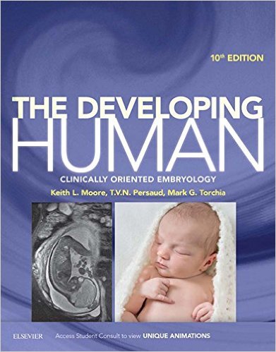 Ebook 978-0323313384 The Developing Human: Clinically Oriented Embryology
