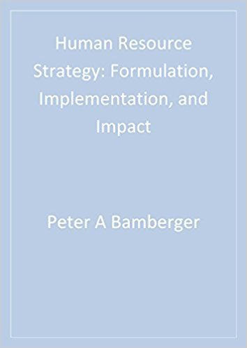 Ebook 978-0761914259 Human Resource Strategy: Formulation, Implementation, and Impact (Advanced T