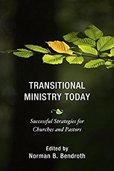 Ebook 978-1566997669 Transitional Ministry Today: Successful Strategies for Churches and Pastors