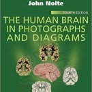 Ebook 978-1455709618 The Human Brain in Photographs and Diagrams