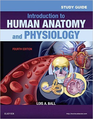 Ebook 978-0323239288 Study Guide for Introduction to Human Anatomy and Physiology