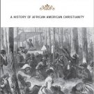 Ebook 978-0742564749 Through the Storm, Through the Night: A History of African American Christia