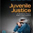 Ebook 978-1452258232 Juvenile Justice: A Guide to Theory, Policy, and Practice