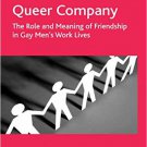 Ebook 978-1409401919 Queer Company: The Role and Meaning of Friendship in Gay Men's Work Lives