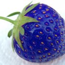 100pcs/bag blue strawberry rare fruit vegetable seed bonsai plant home garden free shipping