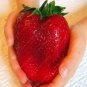 1000pcs Germany super big strawberry seeds, fruit seeds, garden supplies