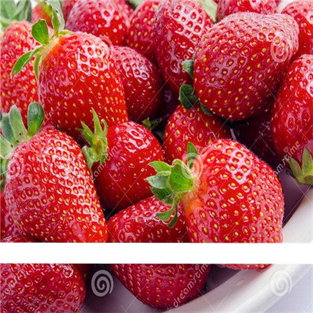 500 Seeds / Pack, Super Giant Strawberry Fruit Seed True Variety free shipping