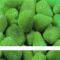 500 Seeds / Pack, Super Giant Strawberry Fruit Seed True Variety free shipping
