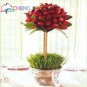 100pcs Strawberry Seeds Indoor Plants Tree Rare Seed Fruit Seeds Home Garden Diy For Bonsai Gift