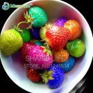 50PCS Rainbow Strawberry Fruit Seeds Multicolor Rainbow Strawberry Fruit Seeds