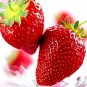 2017 Rarest Heirloom Super Giant Japan Red Strawberry Organic Seeds, Strawberry Seeds, 100 Seed
