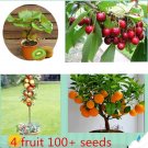 4 kind fruit ,bonsai fruit tree seeds ,vegetable and fruit seeds total 100+ seeds