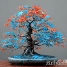 20 pcs Rare blue maple Seeds Bonsai Tree Plants Pot Suit for DIY home garden Japanese maple seeds