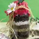 Gifts In a Jar