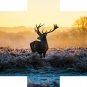 Elk Mule Deer Painting Art Poster Multi Panel Canvas Wall Art Bedroom Home Decor