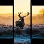 Elk Mule Deer Painting Art Poster Multi Panel Canvas Wall Art Bedroom Home Decor