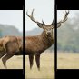Multi Panel Canvas Wall Bedroom Art Decor Elk Mule Deer Painting Print Posters