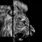 Roaring Lion Poster Wild Animal Wall Art 5 PCS Set Canvas Painting Prints Giclee