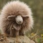 BENANDLU - Sheep like shearling gingerbread almond