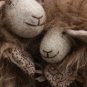 BENANDLU - Sheep like shearling gingerbread almond