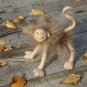 BENANDLU - Monkey mocha coffee