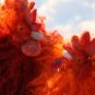 BENANDLU - Fiery Cock