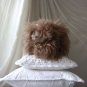 BENANDLU - Cat Plato. Very fluffy ))