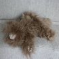 BENANDLU - Cat Plato. Very fluffy ))