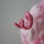 BENANDLU - Waldorf doll. Musical Piglet