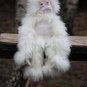 BENANDLU - Monkey for play and fun
