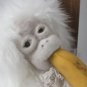 BENANDLU - Monkey for play and fun
