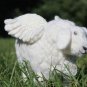 BENANDLU - Musical sheep