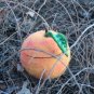 BENANDLU - Apple