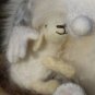BENANDLU - Musical shepherdess and sheep