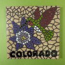 Ceramic Art Tile 6"x6" Mosiac Colorado hummingbird keepsake trivet wall F83
