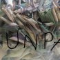 100 g. Lemongrass +Fragrant pandan Herbal Tea. Aromatic Tea for Gout Treatment