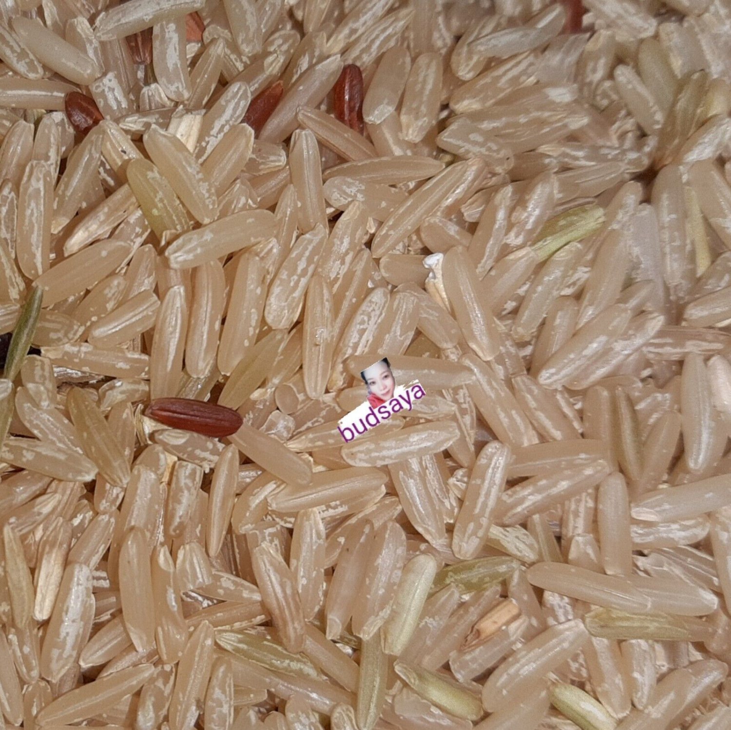 Jasmine Enriched Thai Jasmine Gaba Fragrant Rice 1kg. Directly From the Farm.
