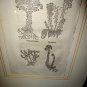 Original 1568 Engraving William Turner Tudor Age (1509-1568) Succulent Framed