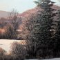 Superb Oil Painting Bill Saunders Winter Scene Ottawa Valley Listed Canadian