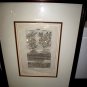 Original 1568 Engraving William Turner Tudor Agev(1509-1568) Basil Framed