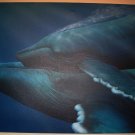 Superb Jeff King Acrylic on Canvas 30" x 20" Two Whales Canadian Artist