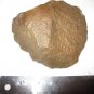 Museum Quality Axe #3 Namibia Orange River Middle Stone Age MSA Africa