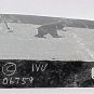 Vintage Inuit Petroglyph Double Sided Carving by IVU Hunters 10" x 7"